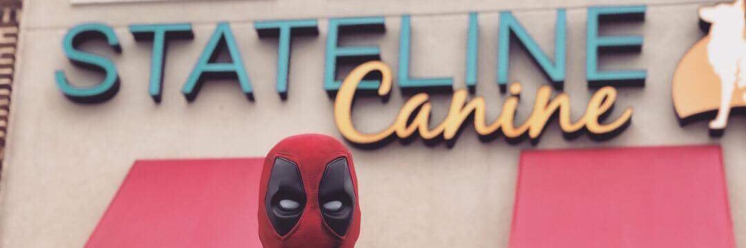 Deadpool_Decoy's profile banner image