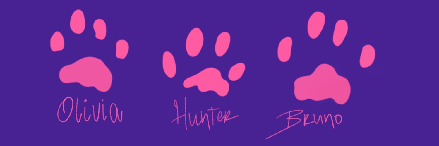 𝓑 🌼 banner