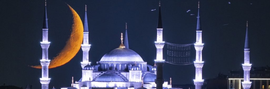 CansuMorgil's profile banner image