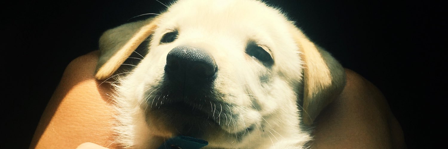 taylorbonnell's profile banner image