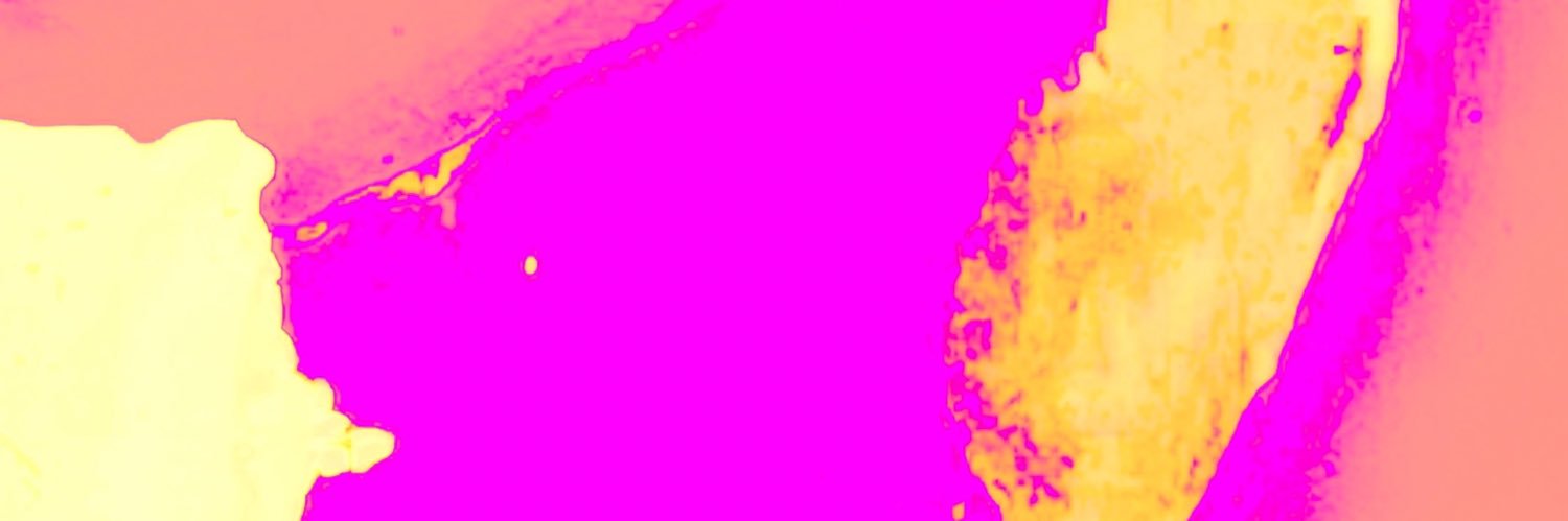 vanessavastag's profile banner image