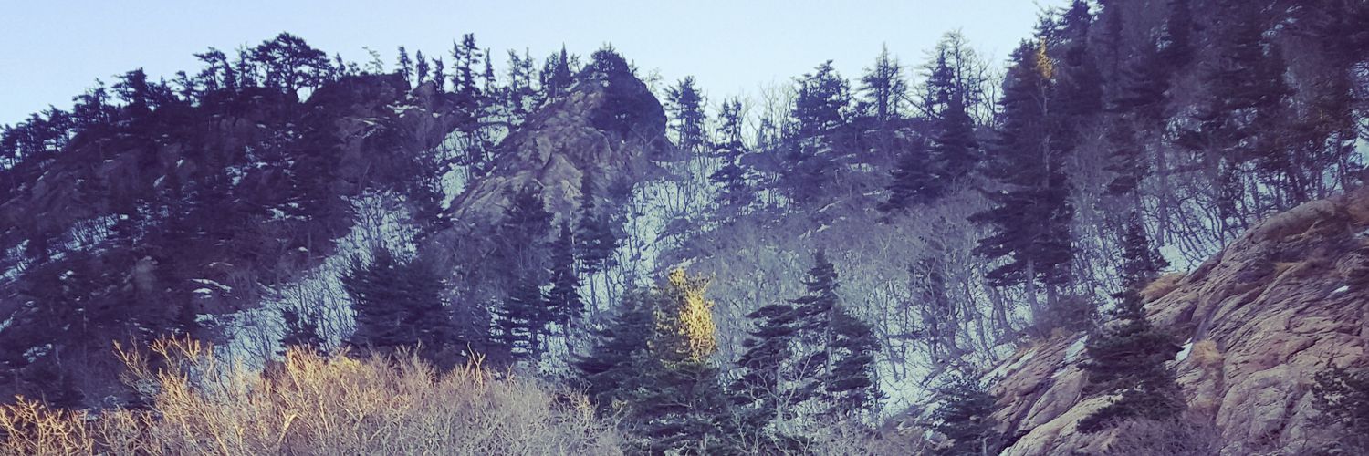 salamgemes's profile banner image