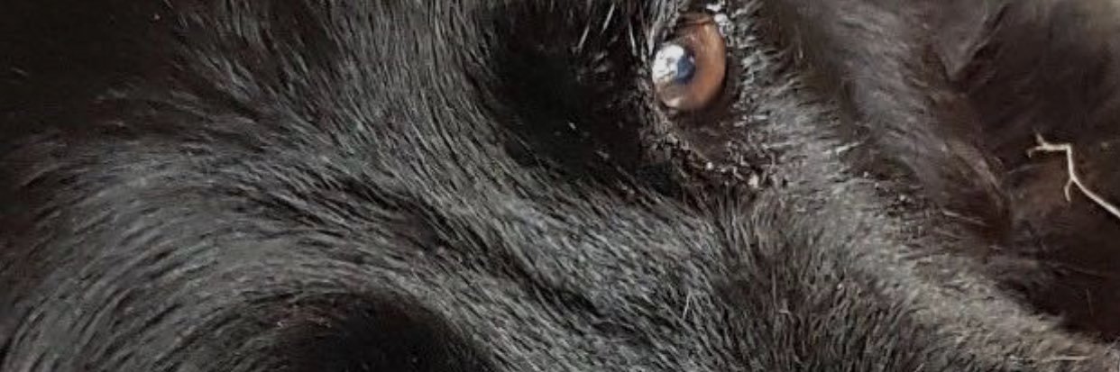 SamHarries_'s profile banner image