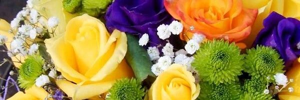 C8Wvn's profile banner image