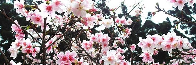 katefromechelon's profile banner image