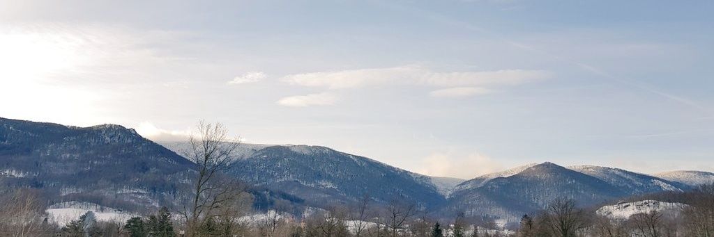 elysiumLL's profile banner image