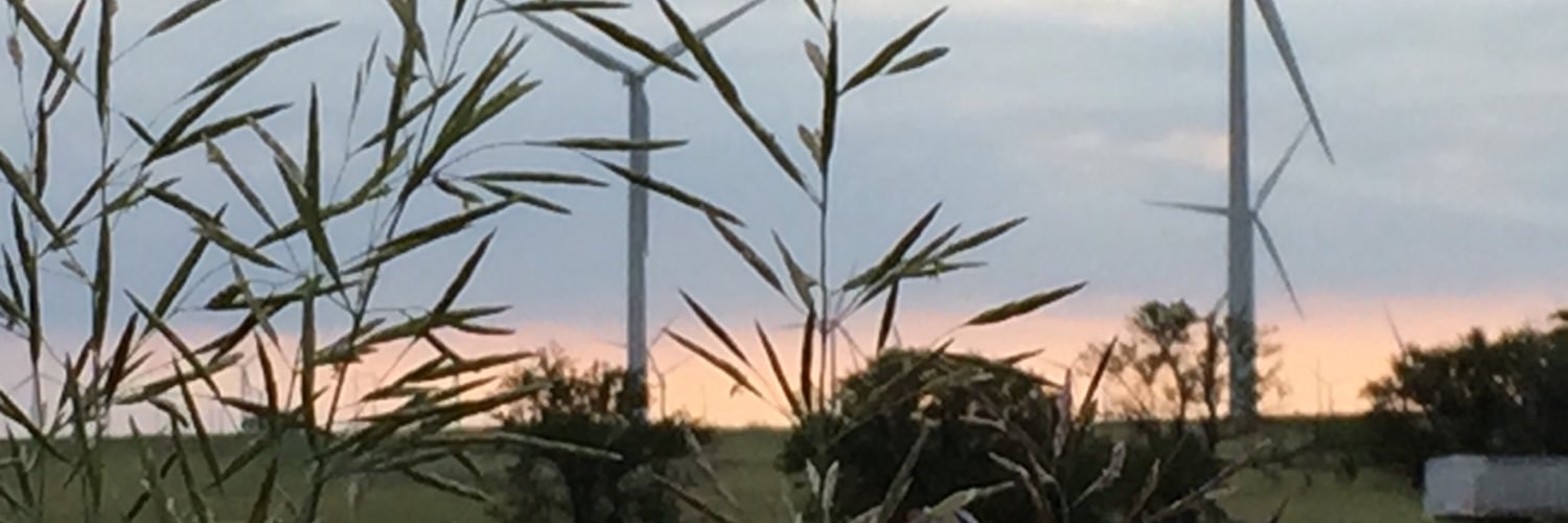 ljswabb's profile banner image