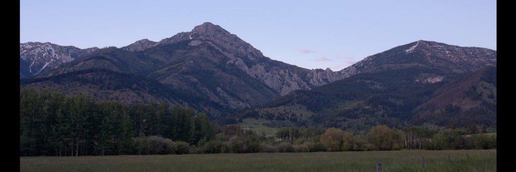 maroneyl's profile banner image