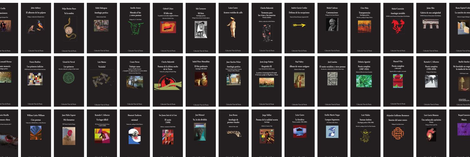 VisorLibros's profile banner image