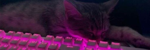 int0ner's profile banner image