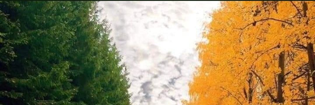 Joseph___0_0_'s profile banner image