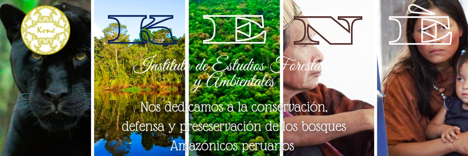 Instituto de Estudios Forestales y Ambientales NGO banner