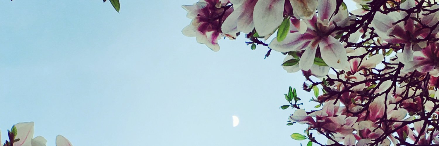 BrettanioA's profile banner image