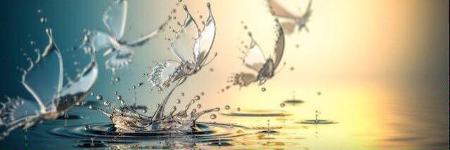 ayda_mz's profile banner image