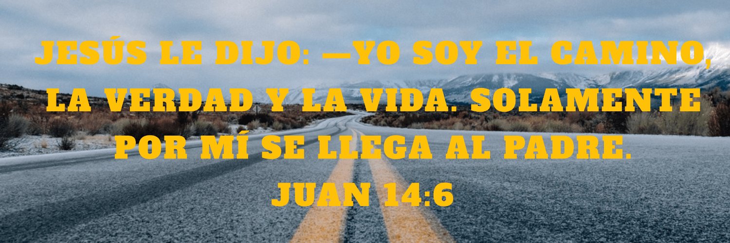 Diego Sanchez banner