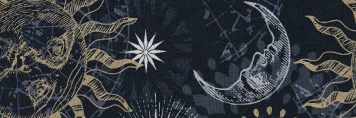 Styldiva1's profile banner image