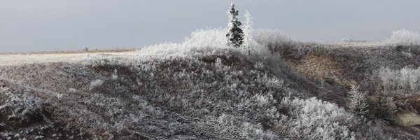 mirandanicole_c Profile Banner