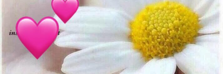 aoad05550's profile banner image