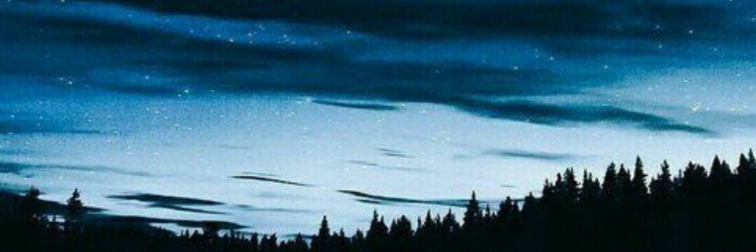 Spyrosaurus97's profile banner image