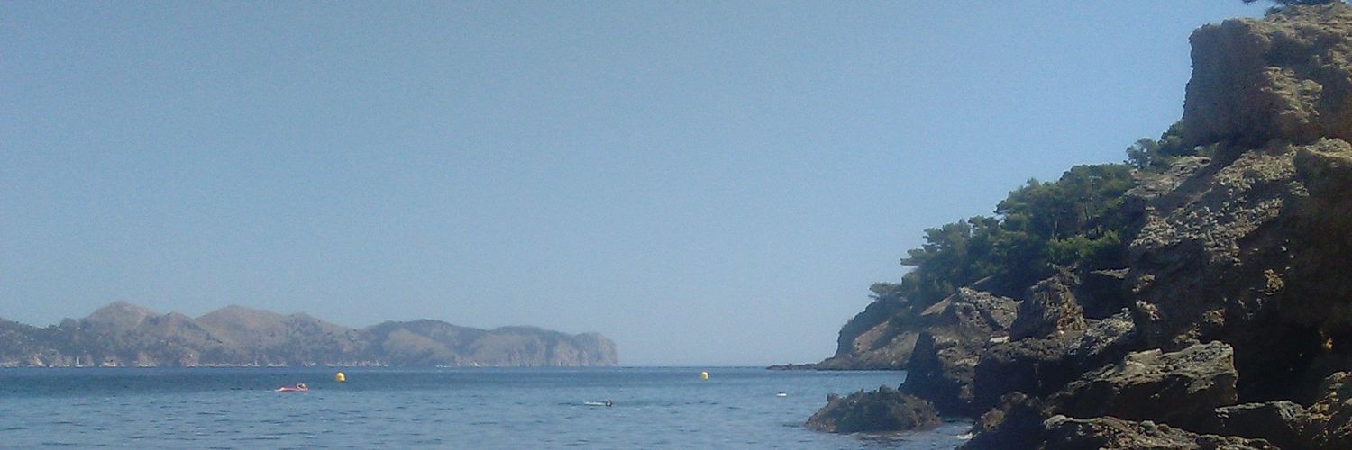 antoniamartore3's profile banner image