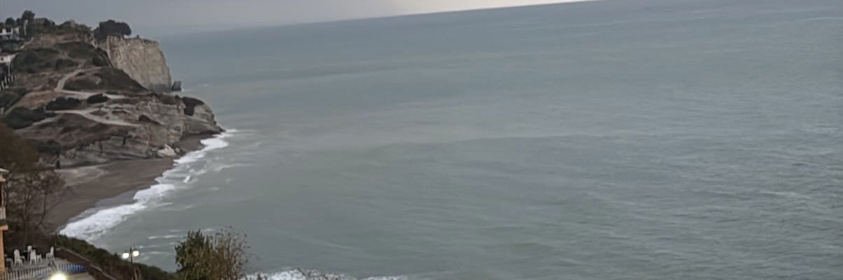 SedaConger's profile banner image