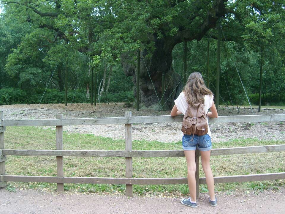 elisa_her's profile banner image