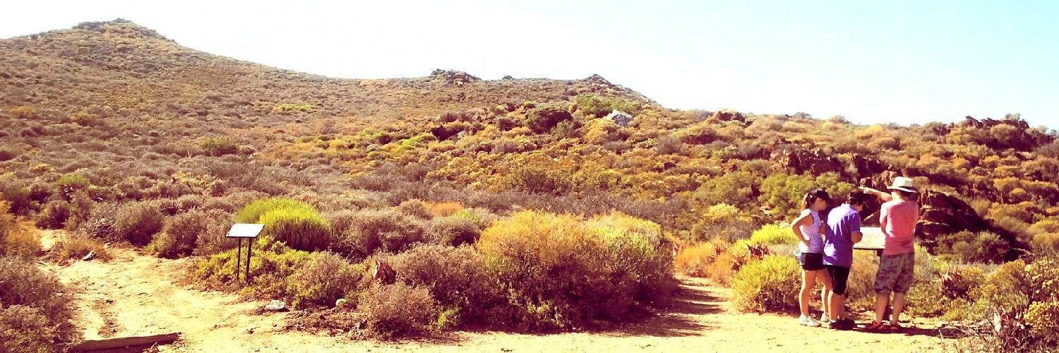 leanab87's profile banner image