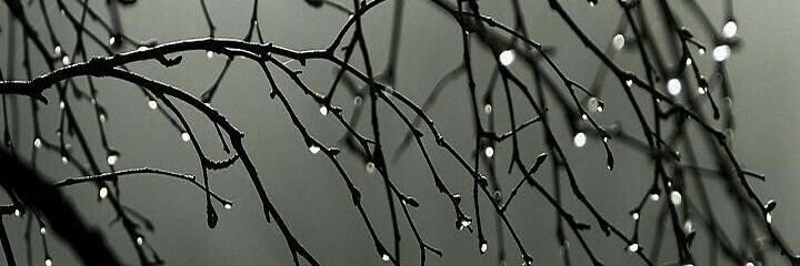 Caaaro_'s profile banner image