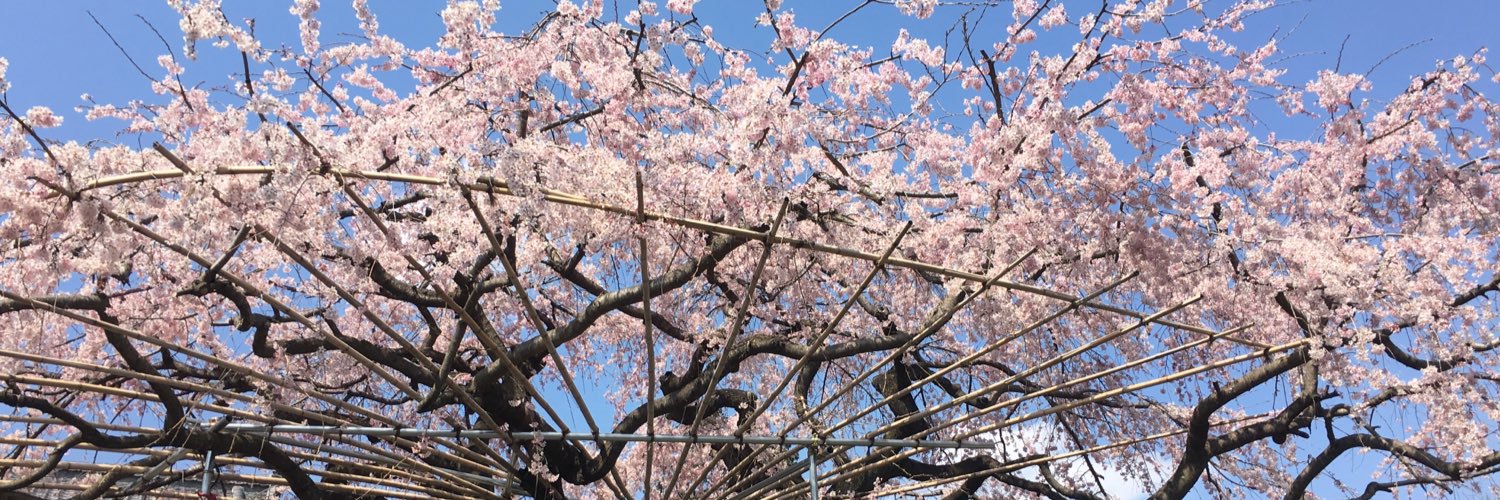 JU_e233's profile banner image