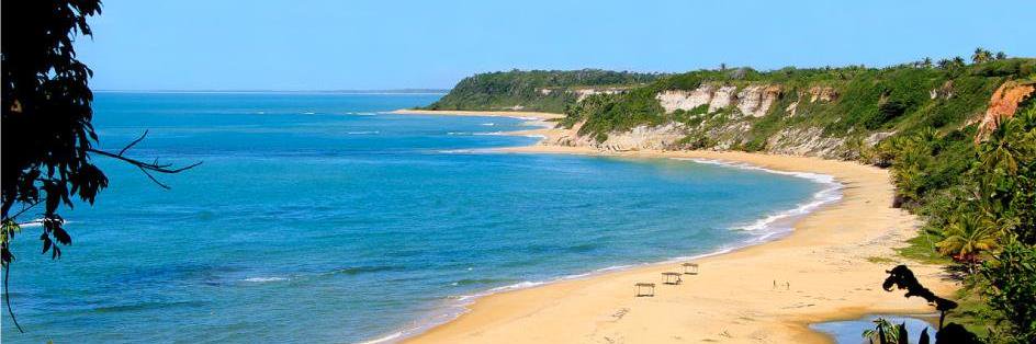 the1brazilguide's profile banner image
