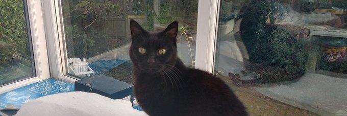 VAL 6323 🐱🐭🐰🦊🇬🇧🏴󠁧󠁢󠁥󠁮󠁧󠁿 banner