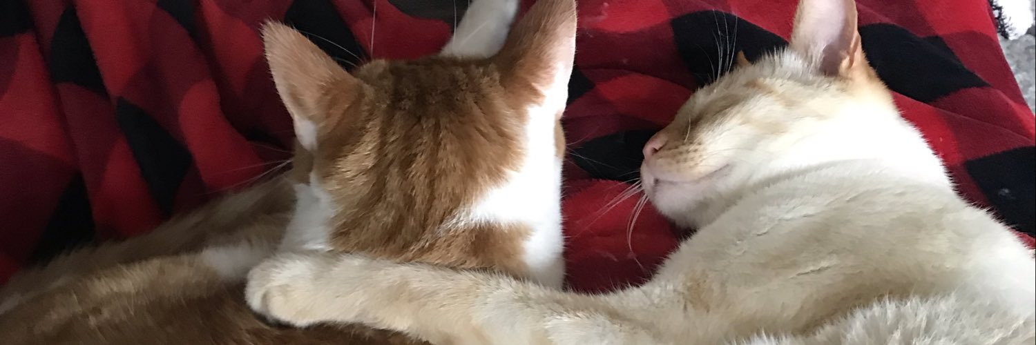 MelaniePatton1's profile banner image