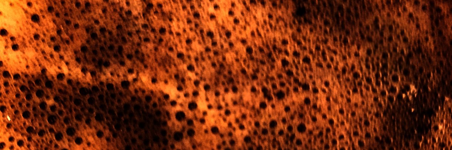 JinalCSavla's profile banner image