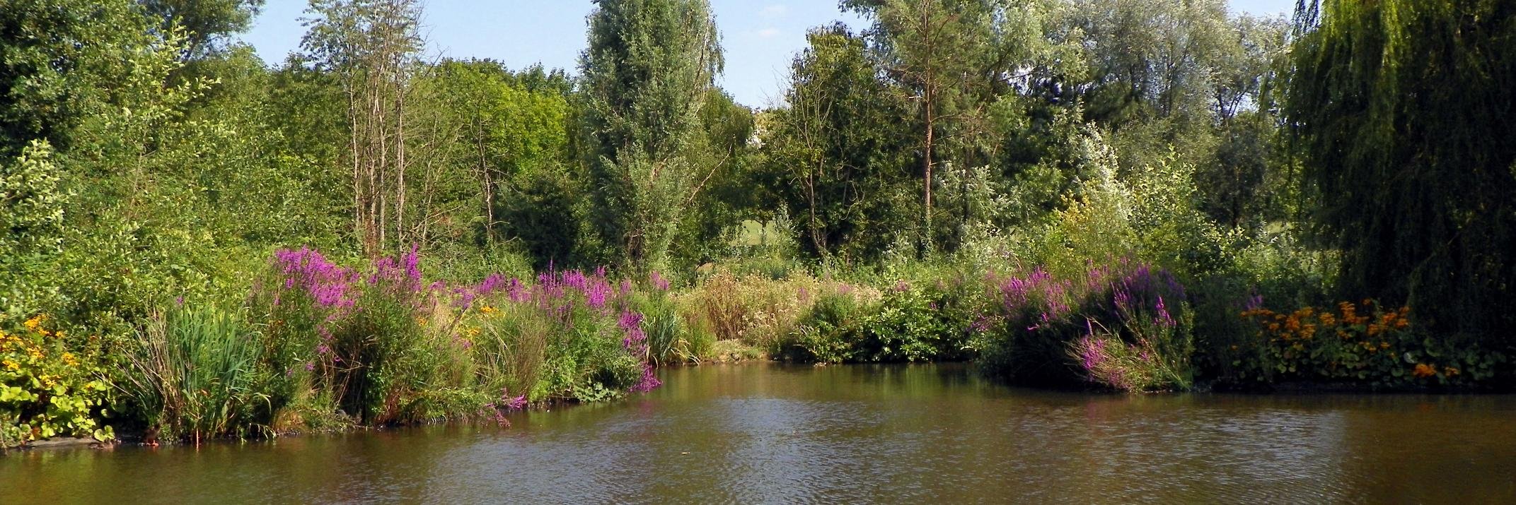 Peter O'Connor banner