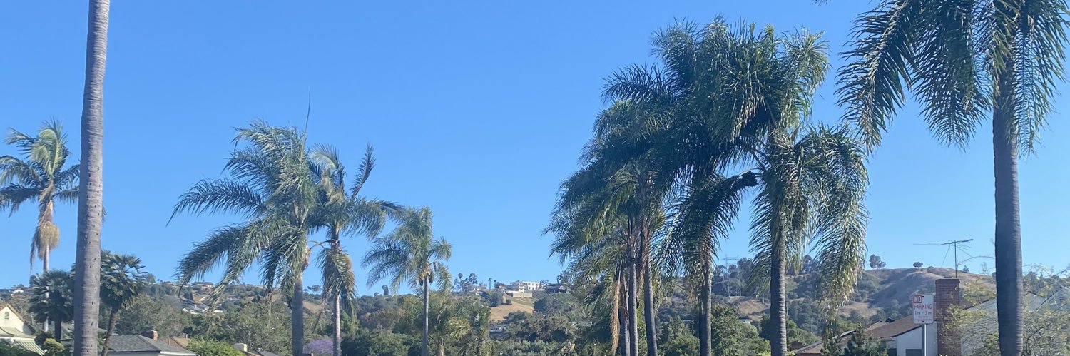 Stevie Wonder can see... banner