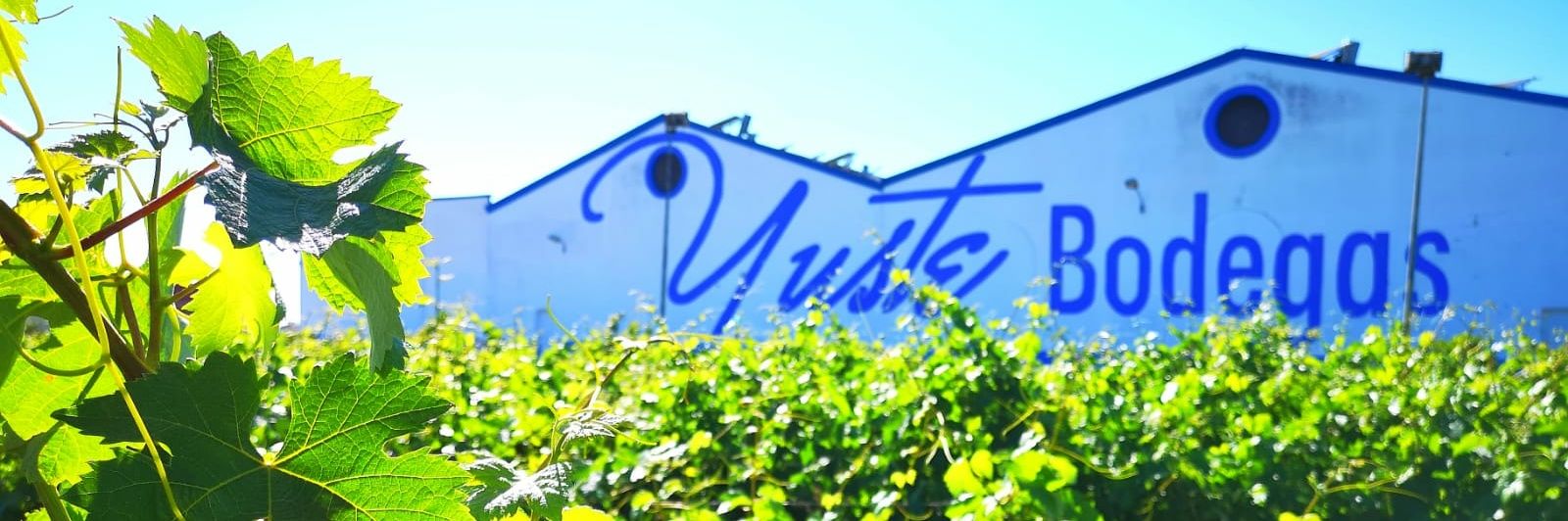 Bodegas Yuste banner
