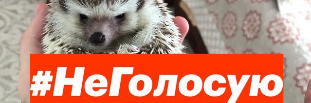 Георгий ❌ Плотников banner