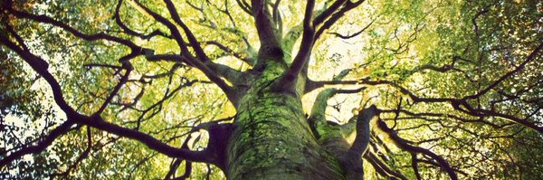 SpencerJJoseph Profile Banner