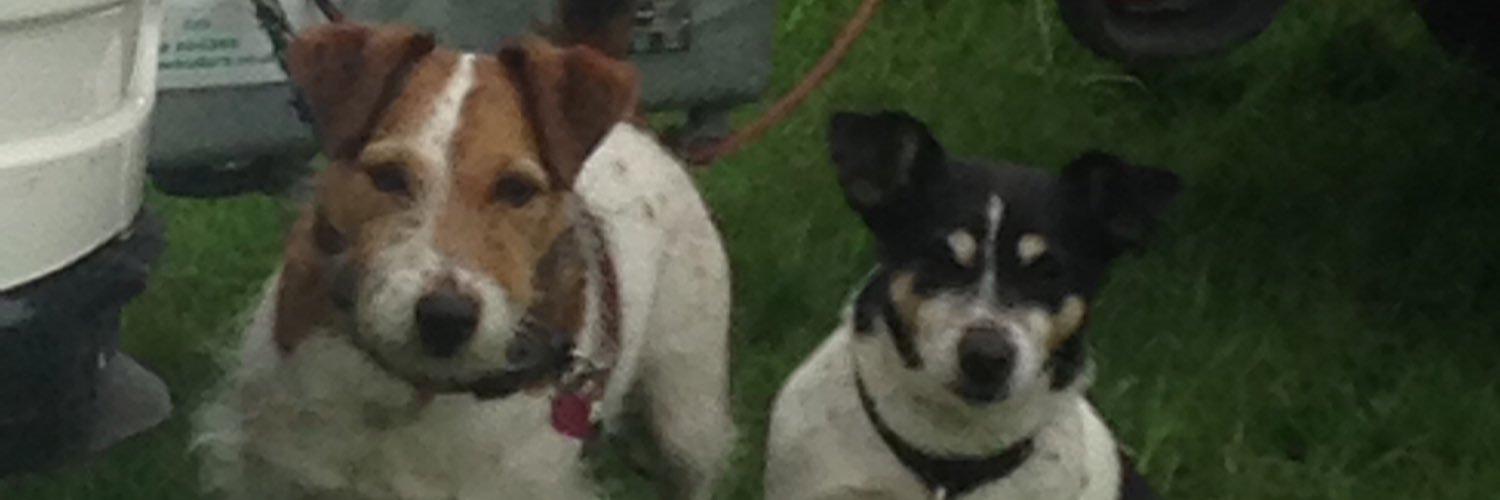 debbie_oakes5's profile banner image
