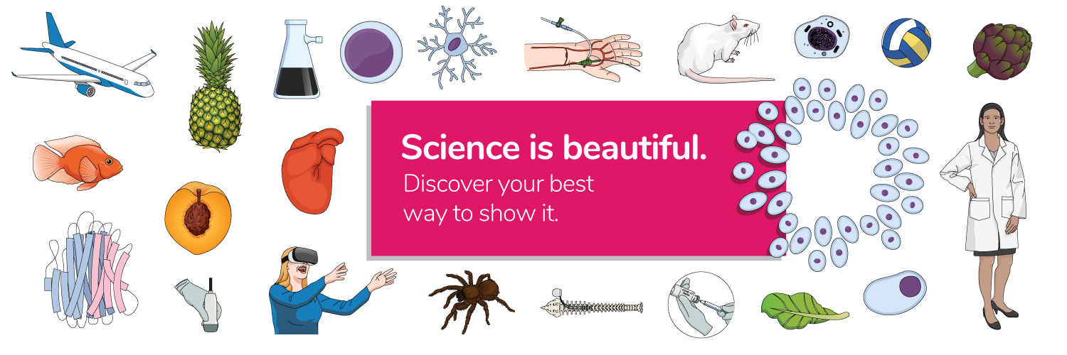 Mind the Graph banner