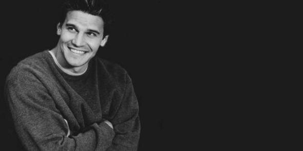 TeamDBoreanaz's profile banner image