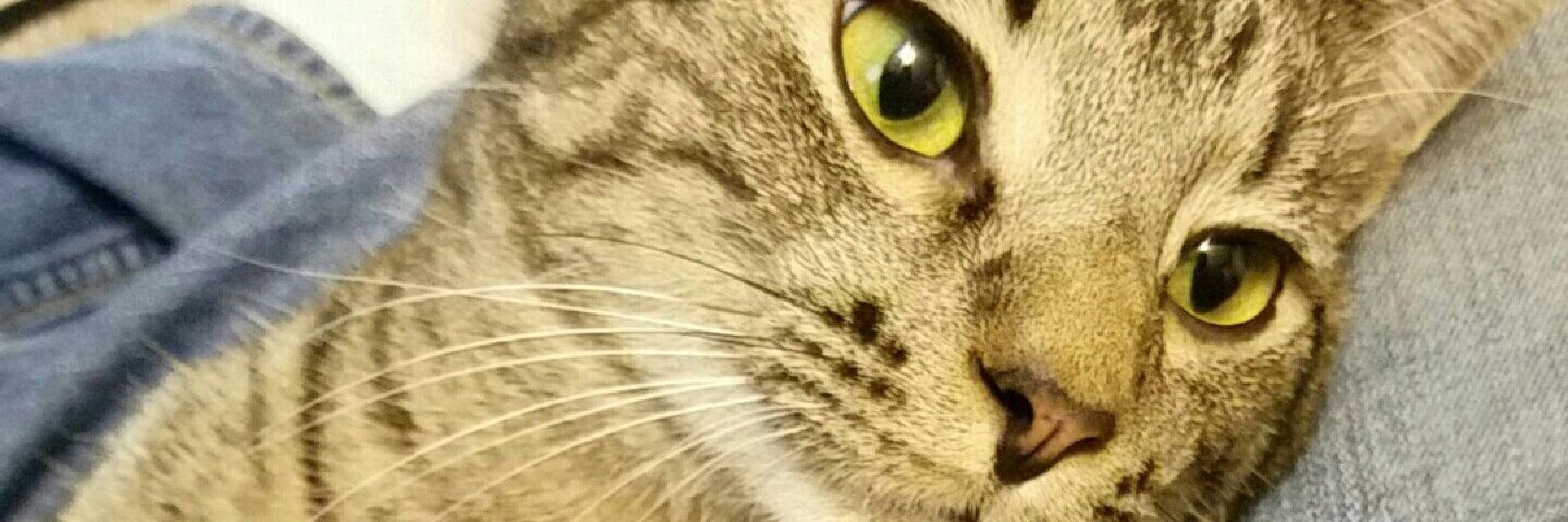 ChaseM24's profile banner image