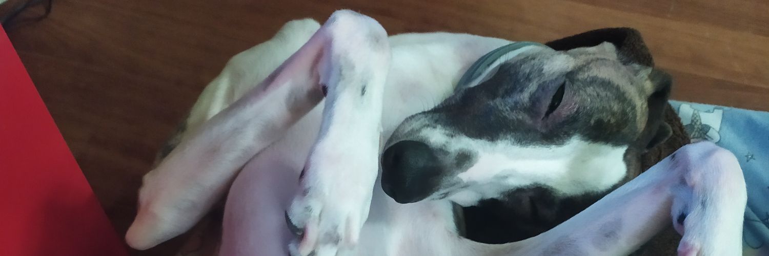 tartadequeso_'s profile banner image