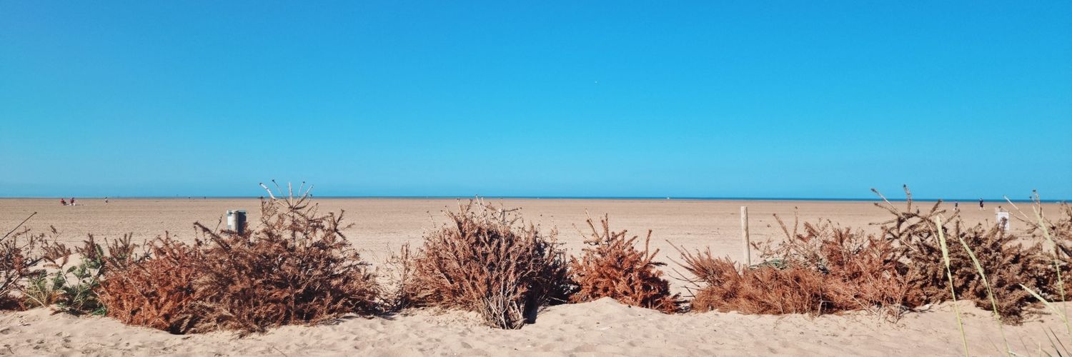 LKC91_'s profile banner image