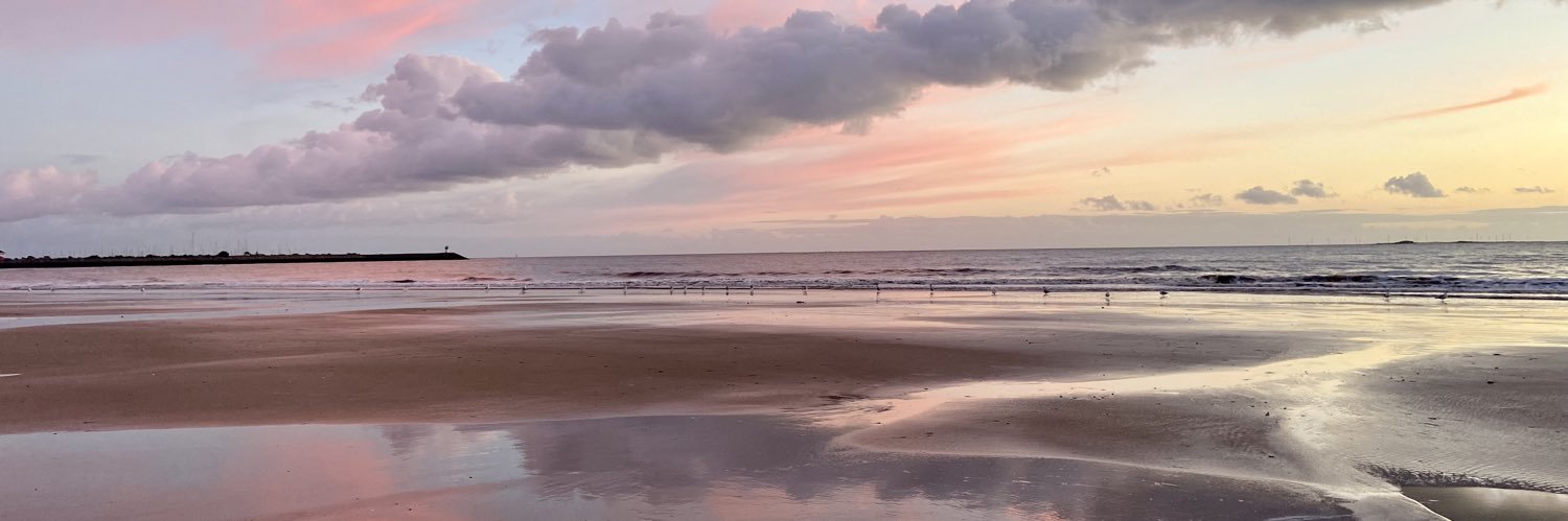 Delphine Eriau banner