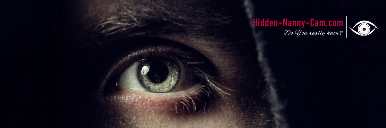 Hidden_NannyCam's profile banner image