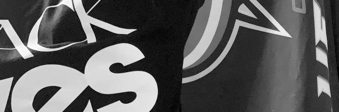 Rio banner