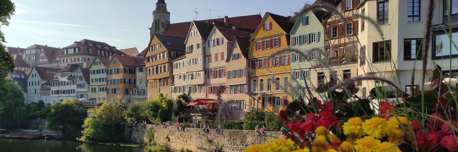 Marta Díaz-Zorita Bonilla banner