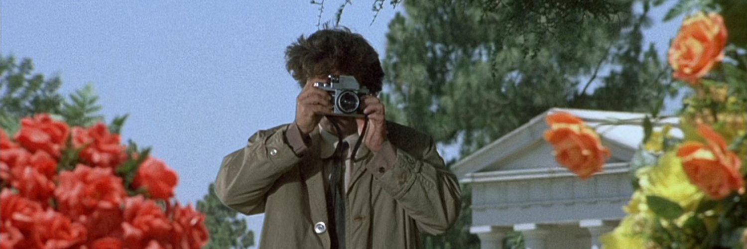 Bart Owl ☀️ banner