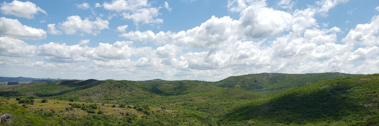 MSatrano's profile banner image